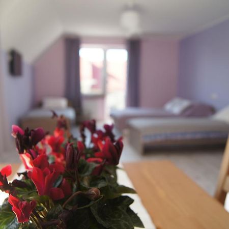 Villa Terra Pruszcz Gdański Buitenkant foto