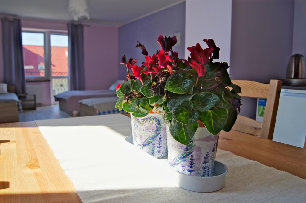 Villa Terra Pruszcz Gdański Buitenkant foto